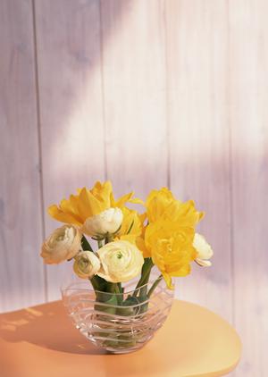 神戸HDCショールーム｜タカラスタンダードの最新設備と快適な暮らしを提案